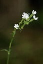 BUITEN BEELD Foto: 439077