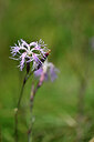 BUITEN BEELD Foto: 439080