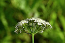 BUITEN BEELD Foto: 439081