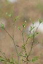 BUITEN BEELD Foto: 439085