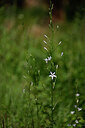 BUITEN BEELD Foto: 439087