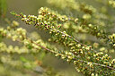 BUITEN BEELD Foto: 439092