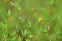 BUITEN BEELD Foto: 439093