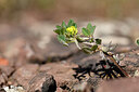 BUITEN BEELD Foto: 439094