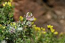 BUITEN BEELD Foto: 439099