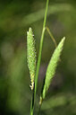 BUITEN BEELD Foto: 439100