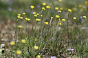 BUITEN BEELD Foto: 439102