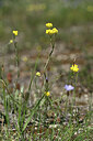 BUITEN BEELD Foto: 439107