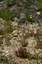 BUITEN BEELD Foto: 439113