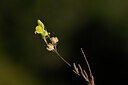 BUITEN BEELD Foto: 439122