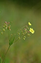 BUITEN BEELD Foto: 439125