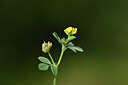 BUITEN BEELD Foto: 439129