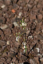 BUITEN BEELD Foto: 439132