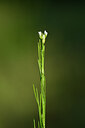 BUITEN BEELD Foto: 439134