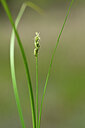BUITEN BEELD Foto: 439137