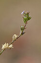 BUITEN BEELD Foto: 439139