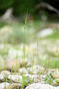 BUITEN BEELD Foto: 439142