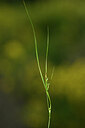 BUITEN BEELD Foto: 439150