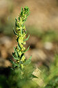 BUITEN BEELD Foto: 439152