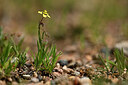 BUITEN BEELD Foto: 439154