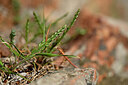 BUITEN BEELD Foto: 439155