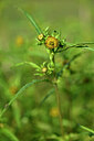 BUITEN BEELD Foto: 439157
