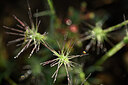 BUITEN BEELD Foto: 439161