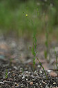 BUITEN BEELD Foto: 439164