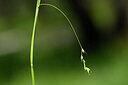 BUITEN BEELD Foto: 439165