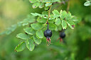 BUITEN BEELD Foto: 439171