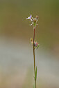 BUITEN BEELD Foto: 439172