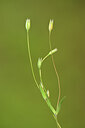 BUITEN BEELD Foto: 439177