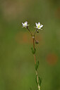 BUITEN BEELD Foto: 439183