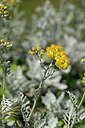 BUITEN BEELD Foto: 439189