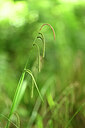BUITEN BEELD Foto: 439192