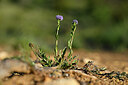 BUITEN BEELD Foto: 439194