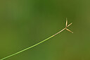 BUITEN BEELD Foto: 439203
