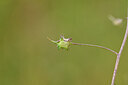 BUITEN BEELD Foto: 439206