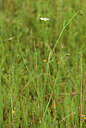 BUITEN BEELD Foto: 439209