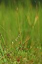 BUITEN BEELD Foto: 439211