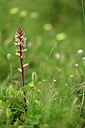 BUITEN BEELD Foto: 439213