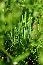 BUITEN BEELD Foto: 439215