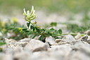BUITEN BEELD Foto: 439220