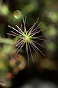 BUITEN BEELD Foto: 439221