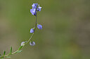 BUITEN BEELD Foto: 439222