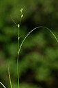 BUITEN BEELD Foto: 439227