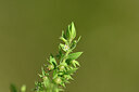 BUITEN BEELD Foto: 439232