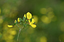 BUITEN BEELD Foto: 439238