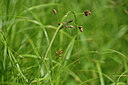 BUITEN BEELD Foto: 439239