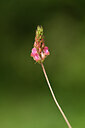 BUITEN BEELD Foto: 439240